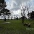  Land for sale in Moreno, Buenos Aires, Moreno