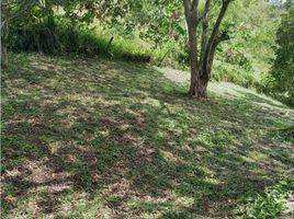  Land for sale in Caldas, Manizales, Caldas