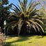  Terreno (Parcela) en venta en Entre Rios, Colon, Entre Rios