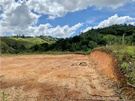  Land for sale in San Vicente, Antioquia, San Vicente