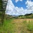  Land for sale in San Vicente, Antioquia, San Vicente