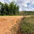  Land for sale in San Vicente, Antioquia, San Vicente