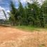  Land for sale in San Vicente, Antioquia, San Vicente