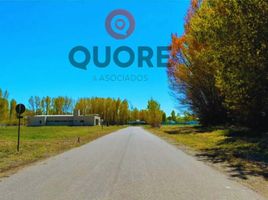  Land for sale in Neuquen, Confluencia, Neuquen