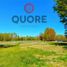  Land for sale in Neuquen, Confluencia, Neuquen