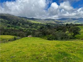  Terrain for sale in Sesquile, Cundinamarca, Sesquile