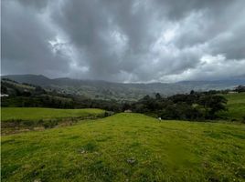  Grundstück zu verkaufen in Sesquile, Cundinamarca, Sesquile