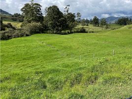 3 Habitación Villa en venta en La Ceja, Antioquia, La Ceja