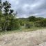  Land for sale in Santa Maria, Cordoba, Santa Maria