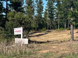  Land for sale in Chile, Pichilemu, Cardenal Caro, Libertador General Bernardo Ohiggins, Chile