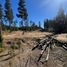  Land for sale in Chile, Pichilemu, Cardenal Caro, Libertador General Bernardo Ohiggins, Chile