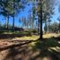  Land for sale in Chile, Pichilemu, Cardenal Caro, Libertador General Bernardo Ohiggins, Chile