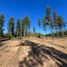  Land for sale in Chile, Pichilemu, Cardenal Caro, Libertador General Bernardo Ohiggins, Chile