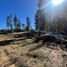 Land for sale in Chile, Pichilemu, Cardenal Caro, Libertador General Bernardo Ohiggins, Chile