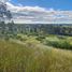  Land for sale in Chile, Litueche, Cardenal Caro, Libertador General Bernardo Ohiggins, Chile