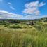  Land for sale in Chile, Litueche, Cardenal Caro, Libertador General Bernardo Ohiggins, Chile