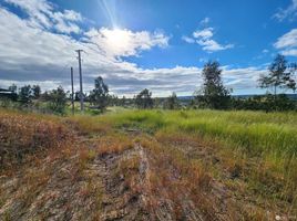  Land for sale in Chile, Litueche, Cardenal Caro, Libertador General Bernardo Ohiggins, Chile