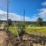 Land for sale in Chile, Litueche, Cardenal Caro, Libertador General Bernardo Ohiggins, Chile