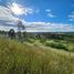  Land for sale in Chile, Litueche, Cardenal Caro, Libertador General Bernardo Ohiggins, Chile