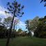  Land for sale in La Plata, Buenos Aires, La Plata