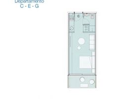 Studio Appartement zu verkaufen in Federal Capital, Buenos Aires, Federal Capital, Buenos Aires, Argentinien