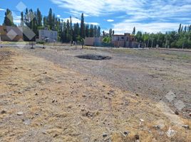  Land for sale in Neuquen, Confluencia, Neuquen