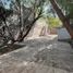 Land for rent in Cuauhtemoc, Mexico City, Cuauhtemoc, Mexico City