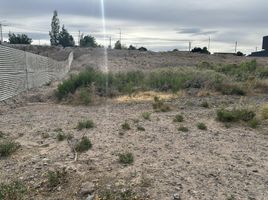  Land for sale in Confluencia, Neuquen, Confluencia