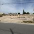  Land for sale in Confluencia, Neuquen, Confluencia