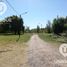  Land for sale in Confluencia, Neuquen, Confluencia