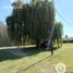  Land for sale in Confluencia, Neuquen, Confluencia