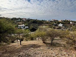  Land for sale in Colon, Cordoba, Colon