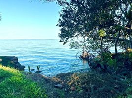  Terreno (Parcela) en venta en Othon P Blanco, Quintana Roo, Othon P Blanco