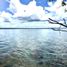  Terreno (Parcela) en venta en Othon P Blanco, Quintana Roo, Othon P Blanco