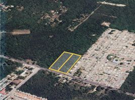  Terreno (Parcela) en venta en Othon P Blanco, Quintana Roo, Othon P Blanco
