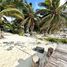  Terreno (Parcela) en venta en Othon P Blanco, Quintana Roo, Othon P Blanco
