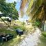  Terreno (Parcela) en venta en Othon P Blanco, Quintana Roo, Othon P Blanco