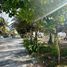  Terreno (Parcela) en venta en Othon P Blanco, Quintana Roo, Othon P Blanco