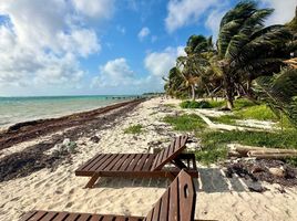 Terreno (Parcela) en venta en Othon P Blanco, Quintana Roo, Othon P Blanco