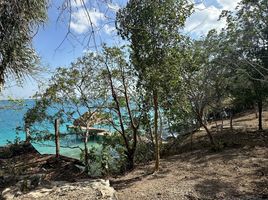  Grundstück zu verkaufen in Othon P Blanco, Quintana Roo, Othon P Blanco