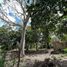  Terrain for rent in Othon P Blanco, Quintana Roo, Othon P Blanco