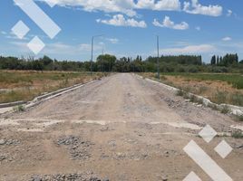  Land for sale in Confluencia, Neuquen, Confluencia