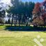  Land for sale in Confluencia, Neuquen, Confluencia