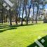  Land for sale in Confluencia, Neuquen, Confluencia