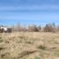  Land for sale in Confluencia, Neuquen, Confluencia