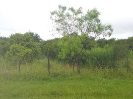  Land for sale in Concordia, Entre Rios, Concordia