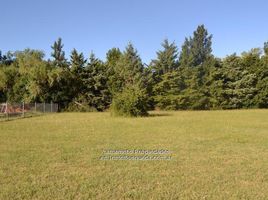  Land for sale in La Plata, Buenos Aires, La Plata