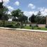  Land for sale in Silao, Guanajuato, Silao