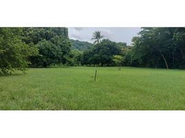  Terreno (Parcela) en venta en Panamá Oeste, Nueva Gorgona, Chame, Panamá Oeste