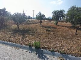  Terrain for sale in San Jose Iturbide, Guanajuato, San Jose Iturbide